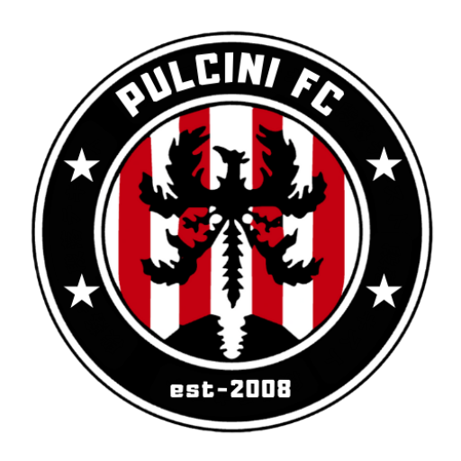 PULCINI FC U-12選手募集特設サイト